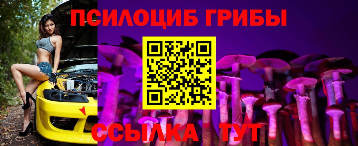 Псилоцибиновые грибы мицелий Рославль